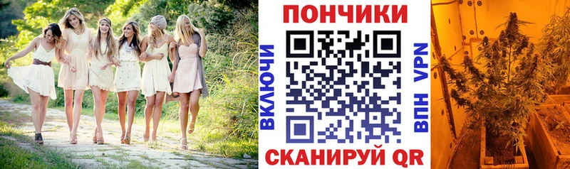 Шишки марихуана семена Игарка