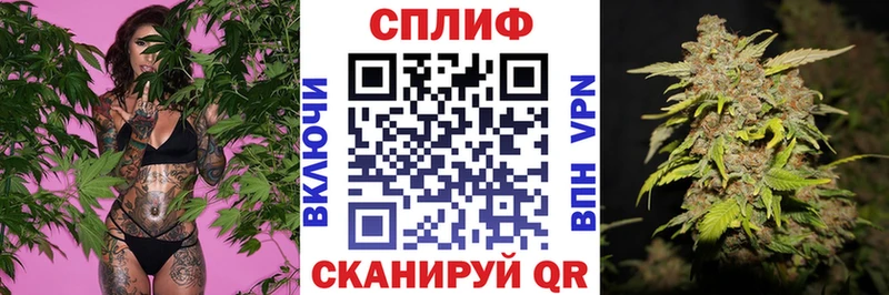 где продают   Игарка  Канабис Bruce Banner 